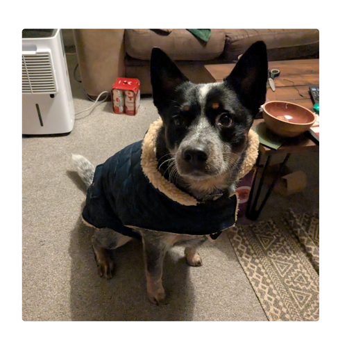 Customer review photo